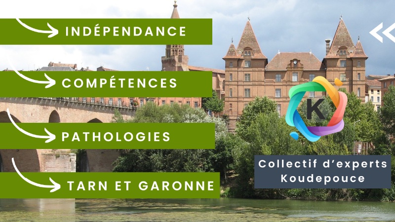 Collectif d'experts Koudepouce dans le Tarn-et-Garonne : indépendance, compétences, pathologies du bâtiment